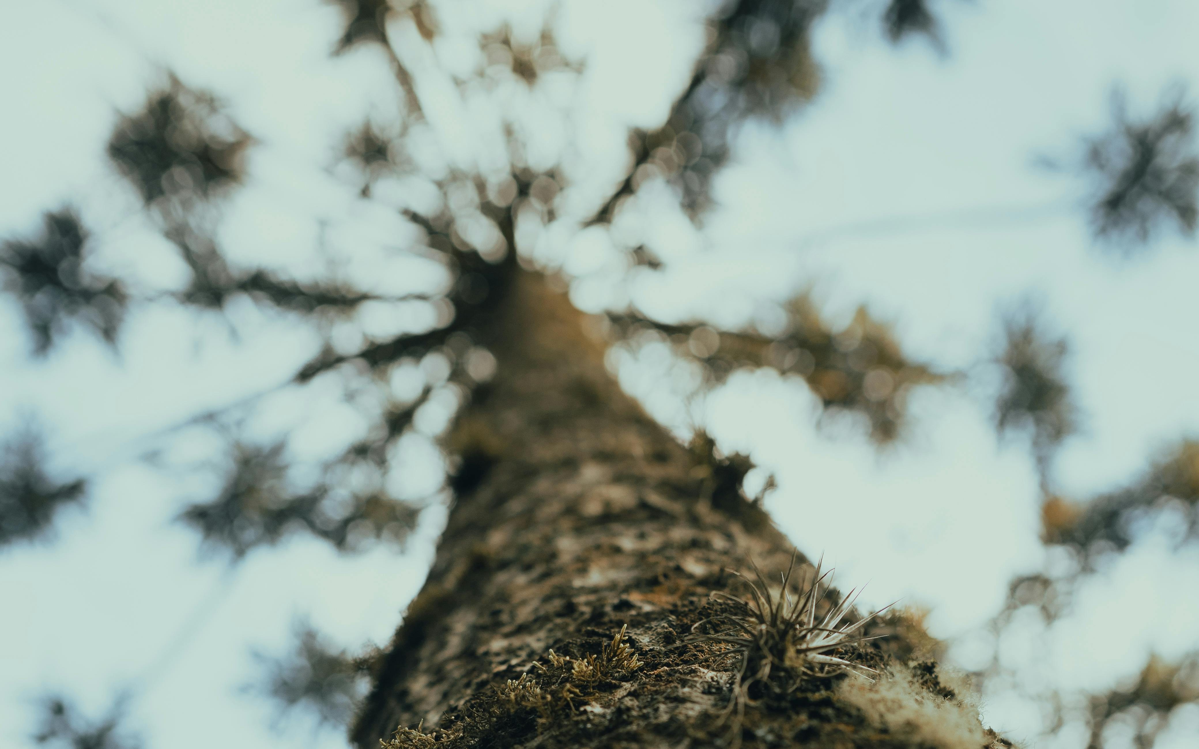 Data engineering pipeline diagram